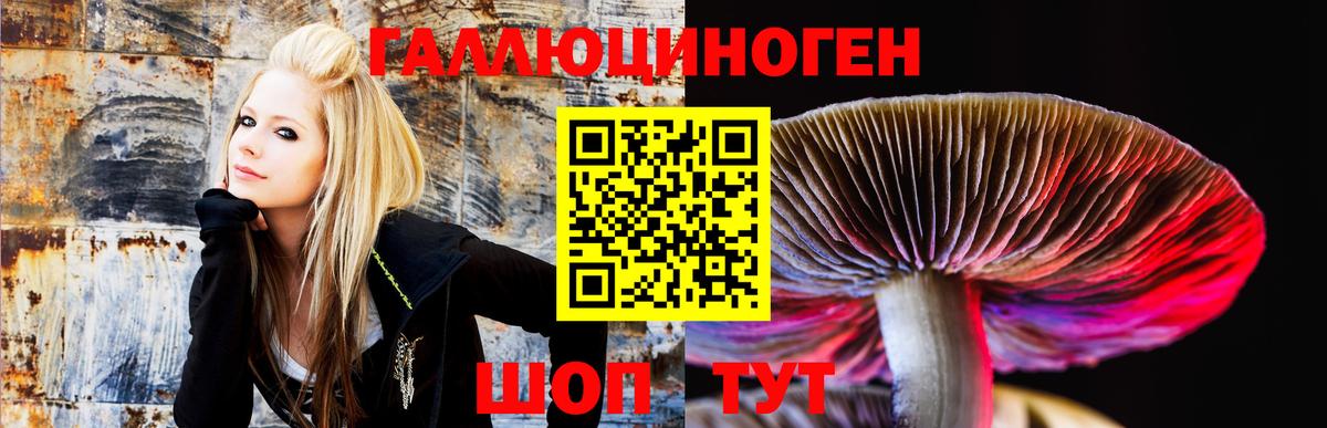 Галлюциногенные грибы MAGIC MUSHROOMS  Вход с VPN  Моршанск  Галлюциногенные грибы прущие грибы 